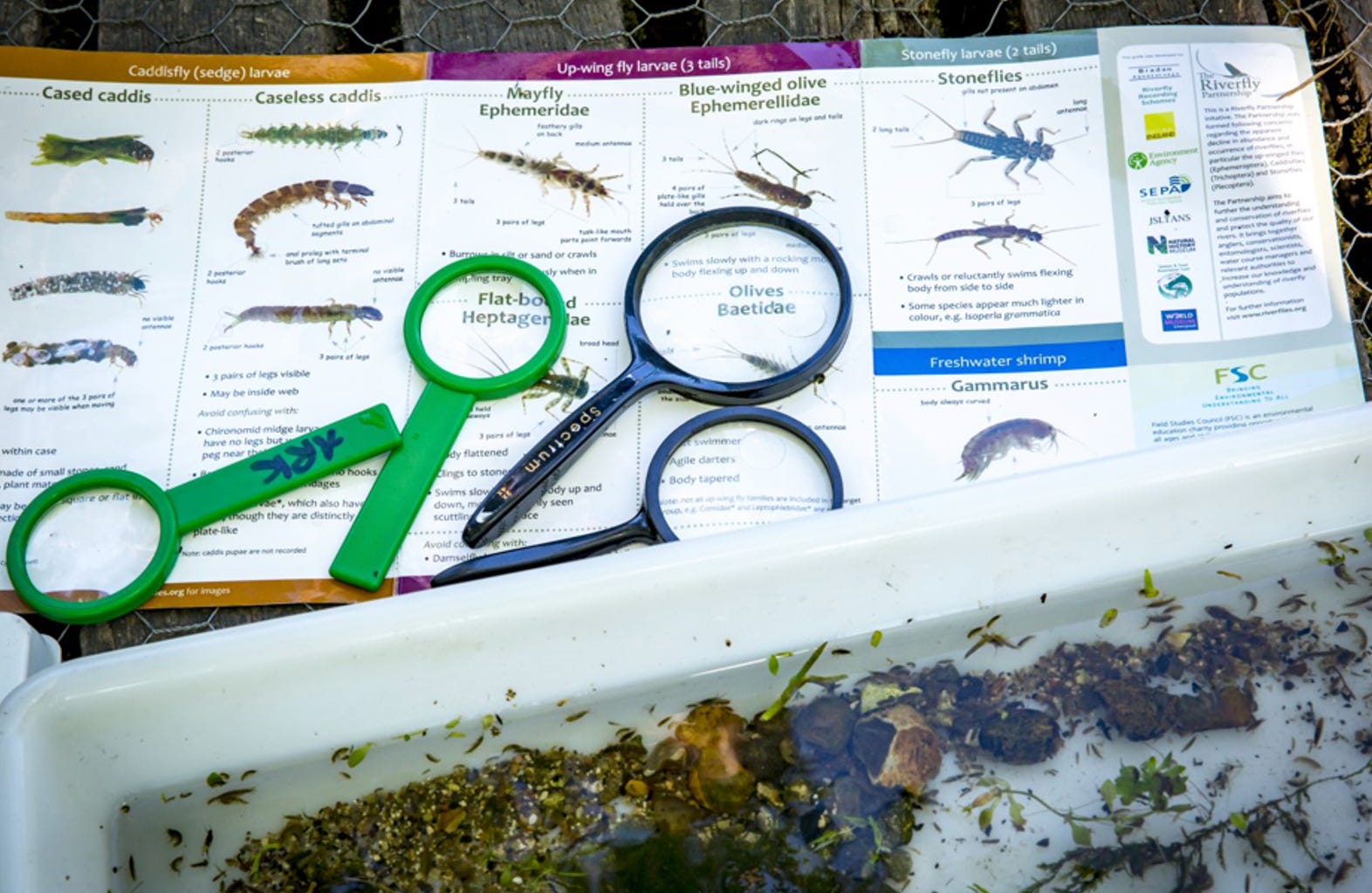 GCSE for Natural History